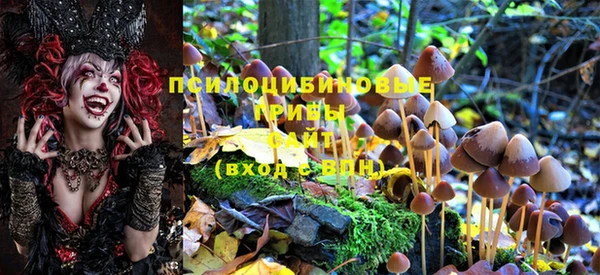 наркотики Абинск