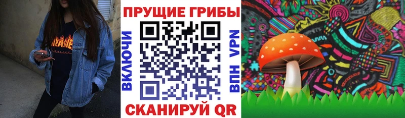 Псилоцибиновые грибы мицелий  Туапсе 