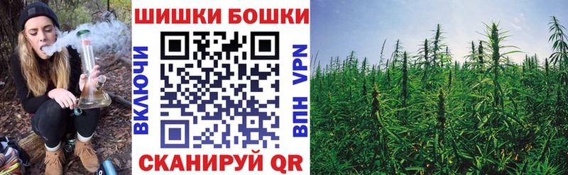 сколько стоит  Туапсе  Бошки Шишки сатива 